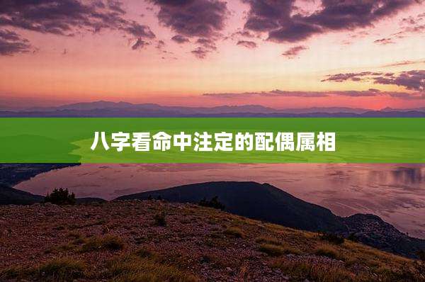 八字看命中注定的配偶属相