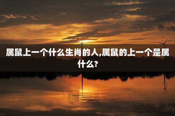 属鼠上一个什么生肖的人,属鼠的上一个是属什么?