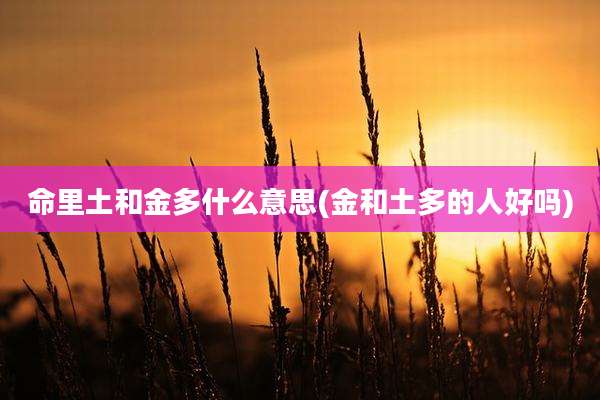 命里土和金多什么意思(金和土多的人好吗)