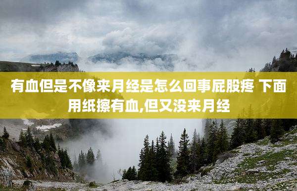 有血但是不像来月经是怎么回事屁股疼 下面用纸擦有血,但又没来月经