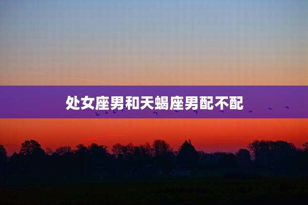 处女座男和天蝎座男配不配