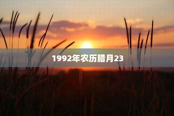 1992年农历腊月23