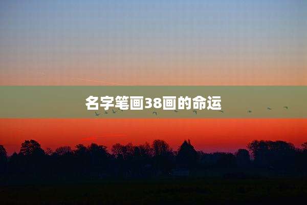 名字笔画38画的命运