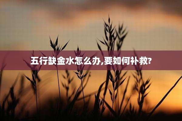五行缺金水怎么办,要如何补救?