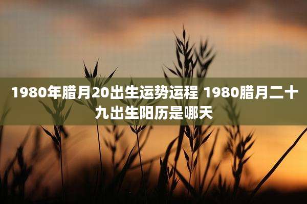 1980年腊月20出生运势运程 1980腊月二十九出生阳历是哪天