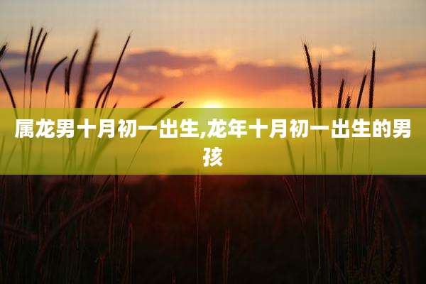属龙男十月初一出生,龙年十月初一出生的男孩