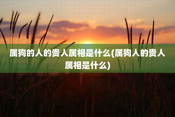 属狗的人的贵人属相是什么(属狗人的贵人属相是什么)