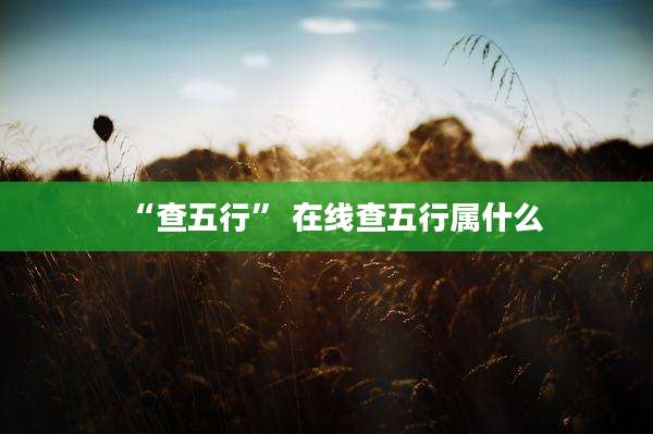 “查五行” 在线查五行属什么