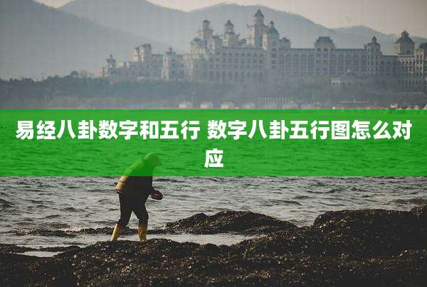 易经八卦数字和五行 数字八卦五行图怎么对应