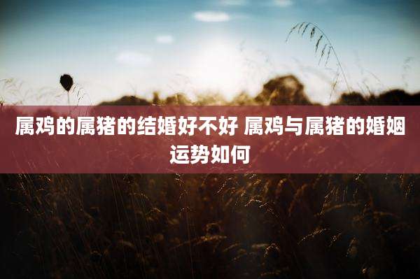 属鸡的属猪的结婚好不好 属鸡与属猪的婚姻运势如何