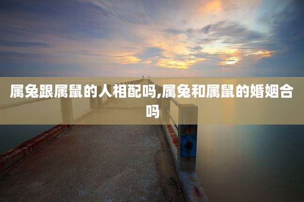 属兔跟属鼠的人相配吗,属兔和属鼠的婚姻合吗