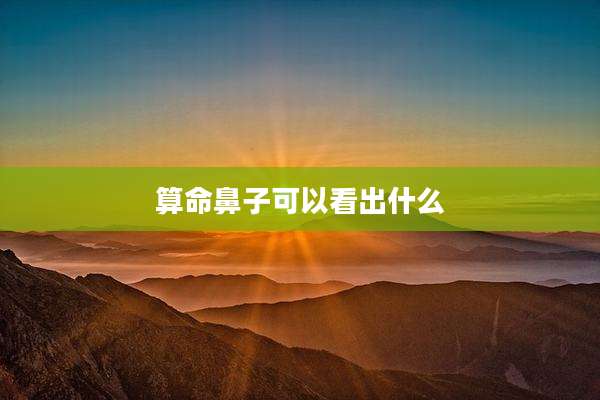 算命鼻子可以看出什么