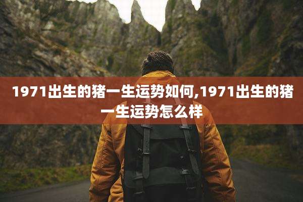 1971出生的猪一生运势如何,1971出生的猪一生运势怎么样