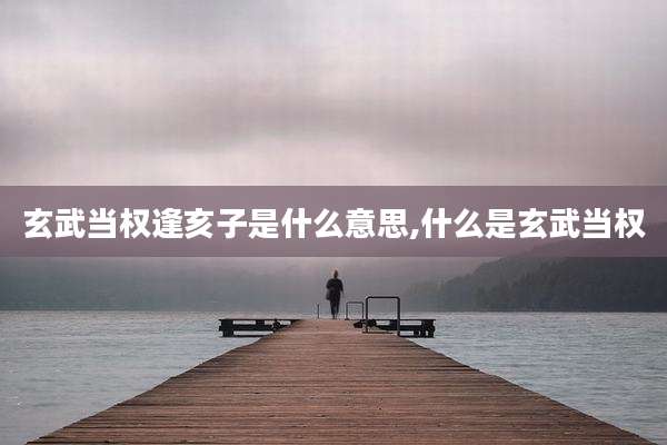 玄武当权逢亥子是什么意思,什么是玄武当权