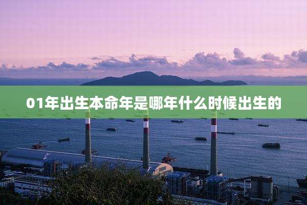 01年出生本命年是哪年什么时候出生的