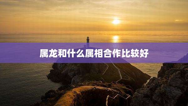 属龙和什么属相合作比较好