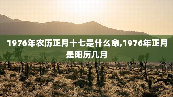 1976年农历正月十七是什么命,1976年正月是阳历几月