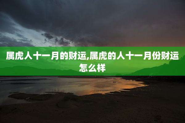 属虎人十一月的财运,属虎的人十一月份财运怎么样