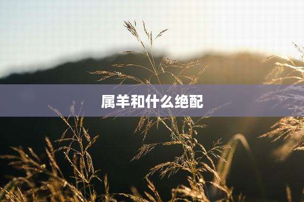 属羊和什么绝配