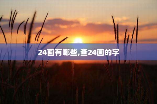 24画有哪些,查24画的字