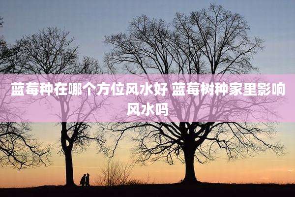 蓝莓种在哪个方位风水好 蓝莓树种家里影响风水吗