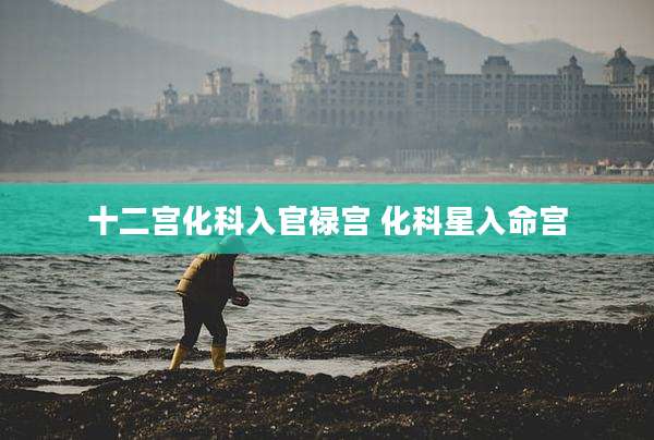十二宫化科入官禄宫 化科星入命宫