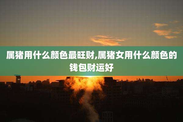 属猪用什么颜色最旺财,属猪女用什么颜色的钱包财运好