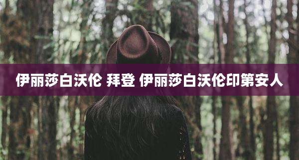 伊丽莎白沃伦 拜登 伊丽莎白沃伦印第安人