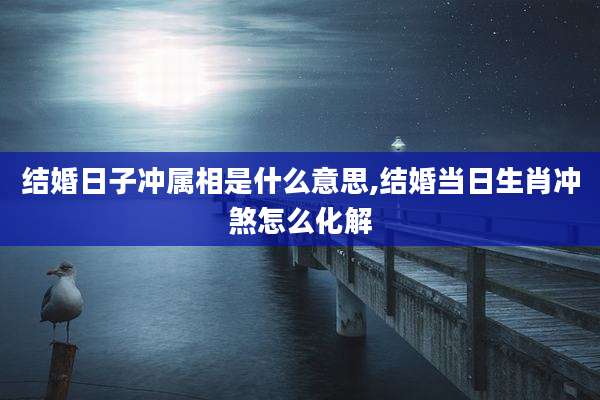 结婚日子冲属相是什么意思,结婚当日生肖冲煞怎么化解