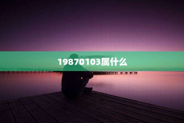 19870103属什么