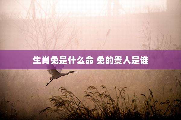 生肖免是什么命 免的贵人是谁