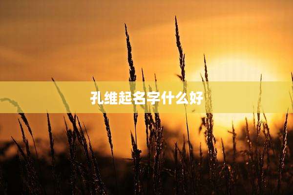 孔维起名字什么好