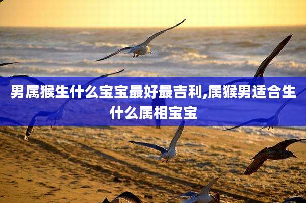 男属猴生什么宝宝最好最吉利,属猴男适合生什么属相宝宝