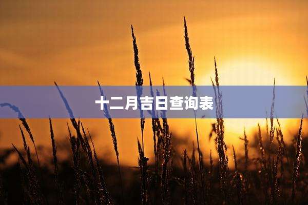 十二月吉日查询表