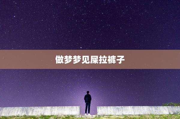 做梦梦见屎拉裤子