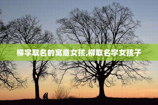 柳字取名的寓意女孩,柳取名字女孩子