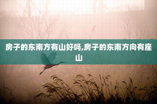 房子的东南方有山好吗,房子的东南方向有座山