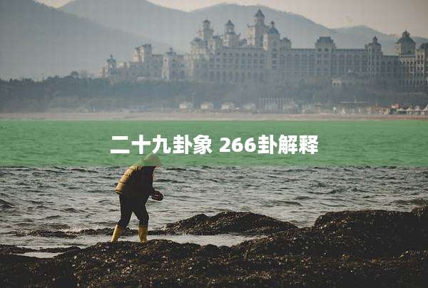 二十九卦象 266卦解释