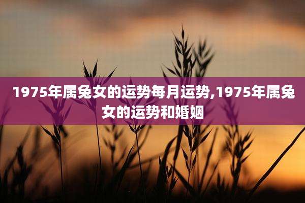 1975年属兔女的运势每月运势,1975年属兔女的运势和婚姻