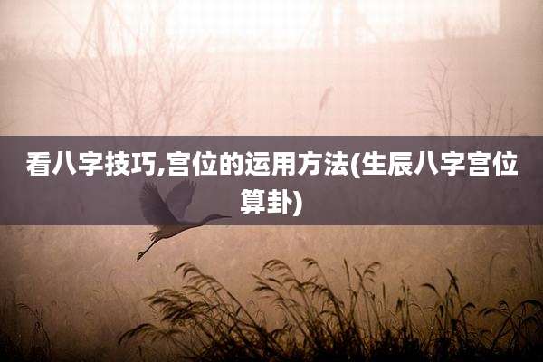 看八字技巧,宫位的运用方法(生辰八字宫位算卦)