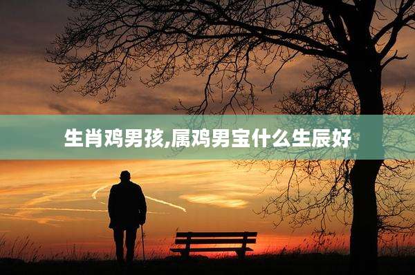 生肖鸡男孩,属鸡男宝什么生辰好