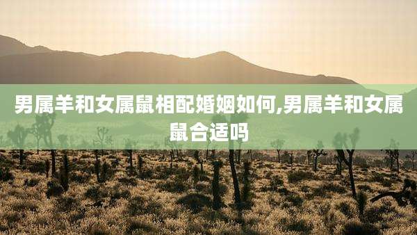 男属羊和女属鼠相配婚姻如何,男属羊和女属鼠合适吗