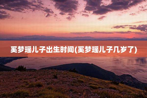 奚梦瑶儿子出生时间(奚梦瑶儿子几岁了)