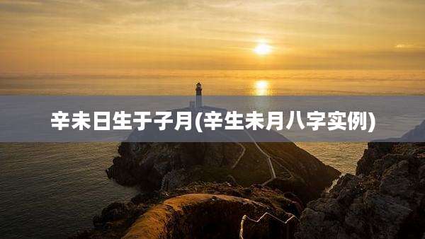 辛未日生于子月(辛生未月八字实例)