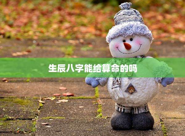生辰八字能给算命的吗