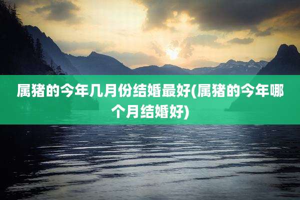 属猪的今年几月份结婚最好(属猪的今年哪个月结婚好)