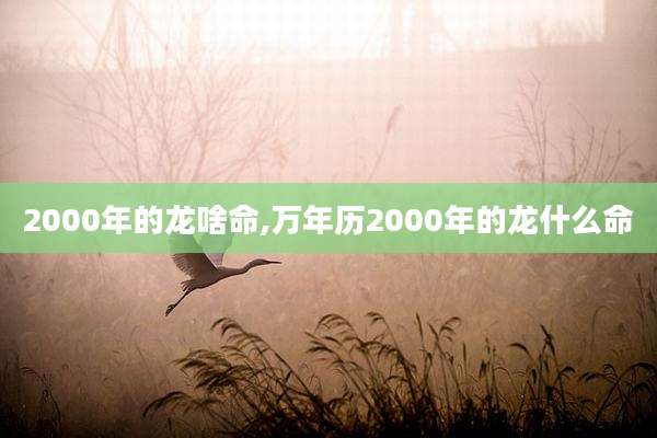2000年的龙啥命,万年历2000年的龙什么命
