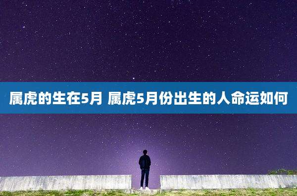 属虎的生在5月 属虎5月份出生的人命运如何