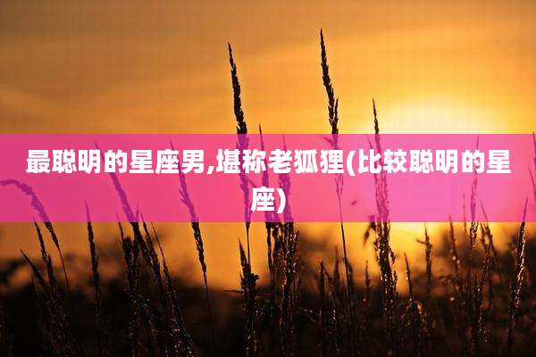 最聪明的星座男,堪称老狐狸(比较聪明的星座)