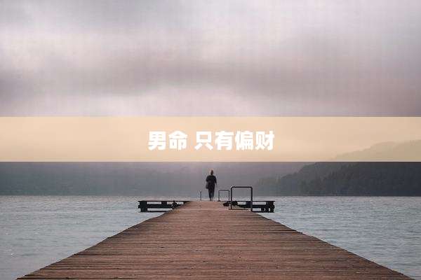 男命 只有偏财